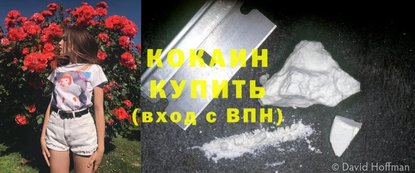 сатива Горно-Алтайск